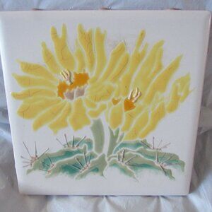 Corallo Tile from Italy.  New